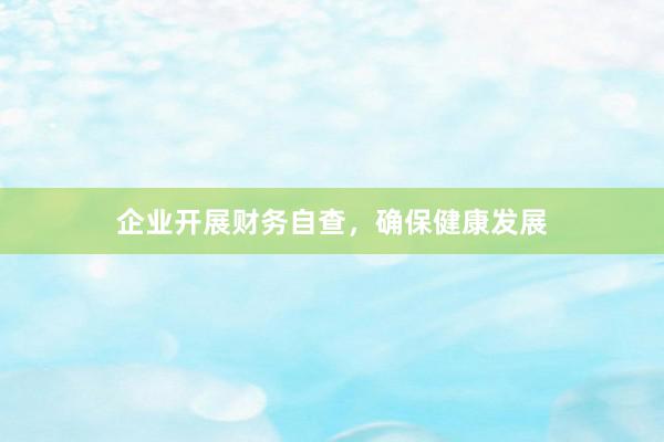 企业开展财务自查，确保健康发展