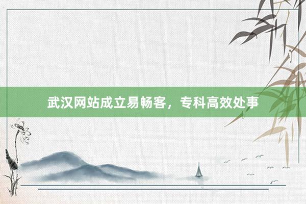 武汉网站成立易畅客，专科高效处事