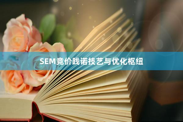 SEM竞价践诺技艺与优化枢纽
