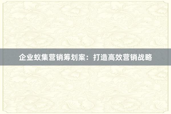 企业蚁集营销筹划案：打造高效营销战略