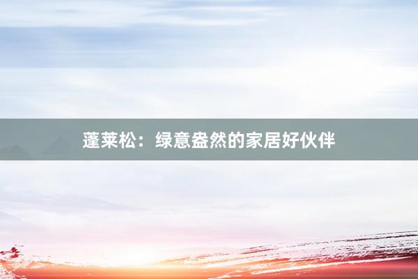 蓬莱松：绿意盎然的家居好伙伴
